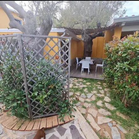 Apartment Donna Filomena Marina di Camerota